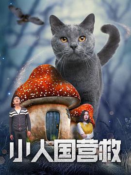 香蕉在线一直看一直爽