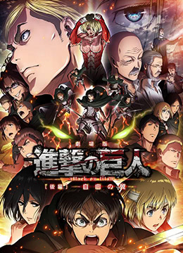 国产综合11p
