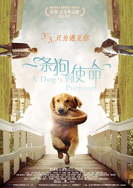 全班最美的一枝花