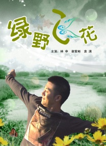 性鲍视频