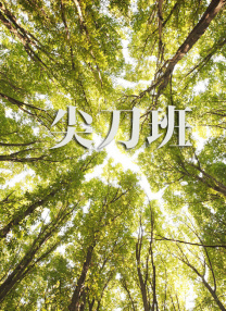中国一级特黄特级毛片