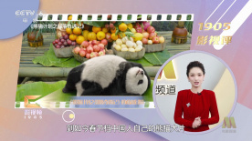 www.欧美亚洲